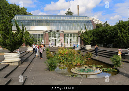 Die zentralen Teich und Gebäude in der Domäne Wintergardens in Auckland, Neuseeland. Stockfoto