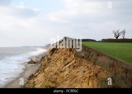 Auswirkungen der Küstenerosion Covehithe Suffolk England Stockfoto