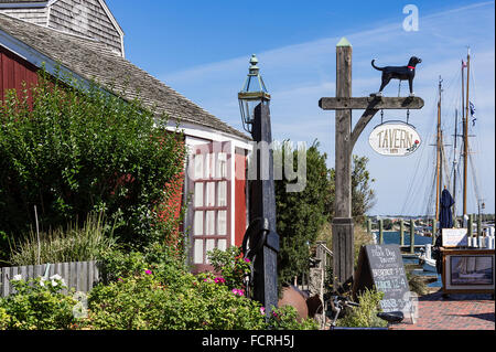 Black Dog Tavern, Vineyard Haven, Martha's Vineyard, Massachusetts, USA Stockfoto