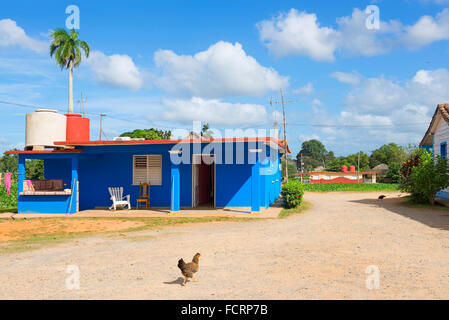 Haus, Haus im Valle de Vinales, Pinar del Rio, Vinales Tal, Tabak landwirtschaftliche Landschaft in Kuba Stockfoto