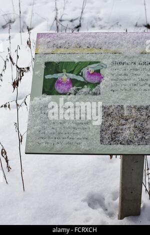 Ein Zeichen im Schnee darauf hinweist, wo Blumen gepflanzt werden und das Arboretum von Minnesota Landschaft im Winter, schlummert. Stockfoto