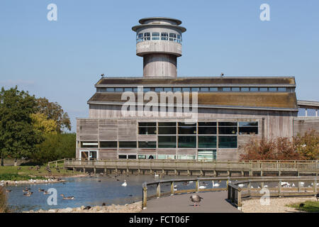 Wildgeflügel und Feuchtgebiete Vertrauen, Besucherzentrum. Slimbridge. Gloucestershire. England. Sitz. Stockfoto