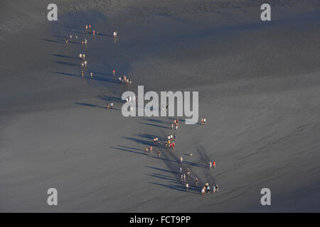 Mont Saint-Michel (Mont Saint Michel), (Normandie, Frankreich Nord-West): Luftaufnahme des Wanderer überquert die Bucht. Stockfoto