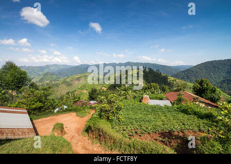 Landschaft mit landwirtschaftlichen Flächen, Bwindi Nationalpark in Süd-Uganda, Afrika Stockfoto