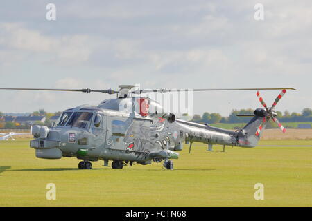 Royal Air Force Westland Lynx Hubschrauber XZ722 Teil des schwarzen Katzen Display Teams bei Duxford Flugplatz, Cambridge, UK Stockfoto