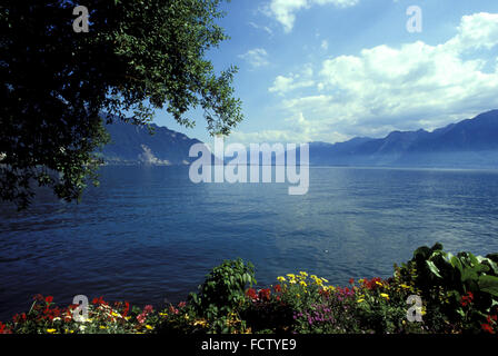 CHE, Schweiz, Genfer See in der Nähe von Montreux.  CHE, Schweiz, der Genfer See Bei Montreux. Stockfoto