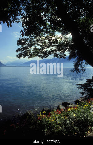 CHE, Schweiz, Genfer See in der Nähe von Montreux.  CHE, Schweiz, der Genfer See Bei Montreux. Stockfoto