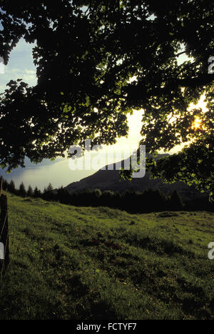 CHE, Schweiz, Blick von Caux auf den Genfer See in der Nähe von Montreux.  CHE, Schweiz, Blick von Caux Auf Den Genfer See Bei Montreux Stockfoto