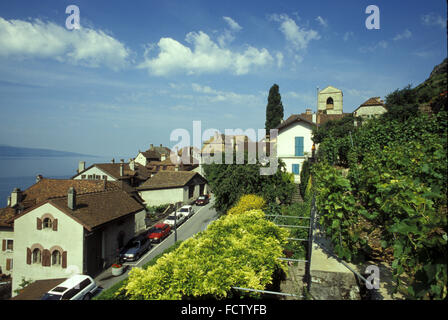 CHE, Schweiz, St. Saphorin am Genfer See.  CHE, Schweiz, St. Saphorin am Genfer See. Stockfoto