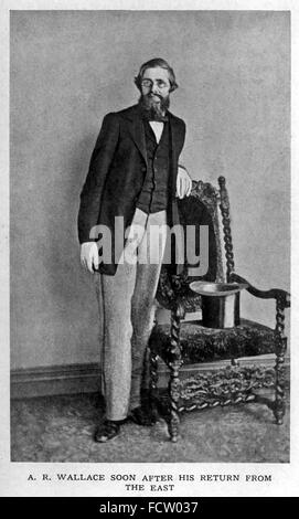 ALFRED RUSSEL WALLACE (1823-1913) walisischer Naturforscher, Explorer und Biologe Stockfoto