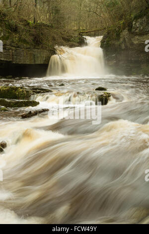 West-Burton fällt "Kessel Kraft", in den Yorkshire Dales Stockfoto