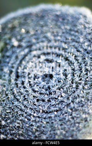 Frost bedeckt post Stockfoto