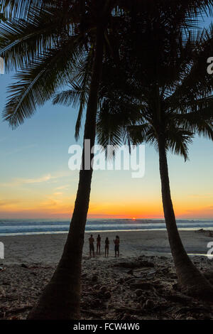 Menschen von Palmen bei Sonnenuntergang am Strand von Playa Hermosa, Nicoya Halbinsel; Santa Teresa, Puntarenas, Costa Rica Stockfoto