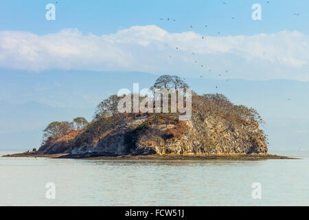 Pájaros Insel, bekannt für seine pulsierenden Birdlife, am Golf von Nicoya Westküste; Playa Pájaros, Halbinsel Nicoya, Costa Rica Stockfoto