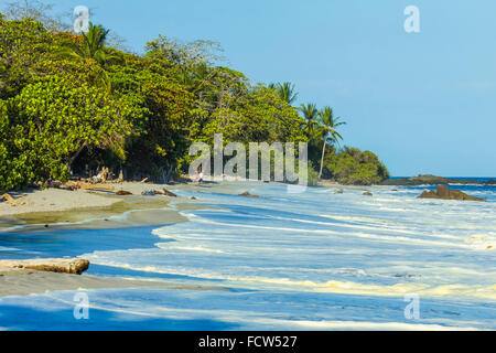 Surf & gelbe Algenblüte am Strand von Montezuma in diesem Resort auf der Nicoya Halbinsel SE Spitze; Montezuma, Puntarenas, Costa Rica Stockfoto