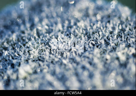 Frost bedeckt post Stockfoto