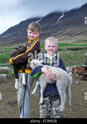 Jungen mit jungen Lämmer, Audbrekka Hof, Horgardalur Tal, Island Stockfoto