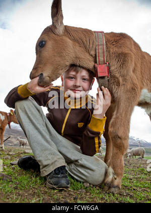 Jungen mit jungen Kalb, Audbrekka Hof, Horgardalur Valley, Island Stockfoto