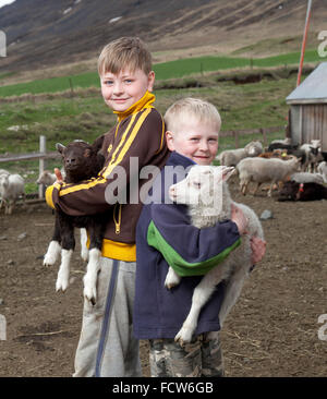 Jungen mit jungen Lämmer, Audbrekka Hof, Horgardalur Tal, Island Stockfoto