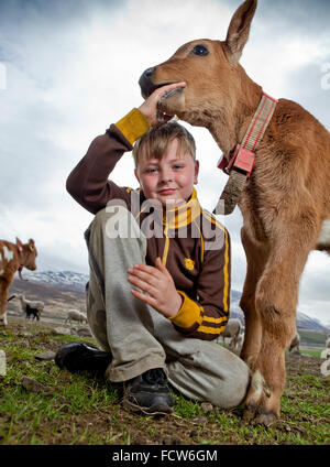 Jungen mit jungen Kalb, Audbrekka Hof, Horgardalur Valley, Island Stockfoto