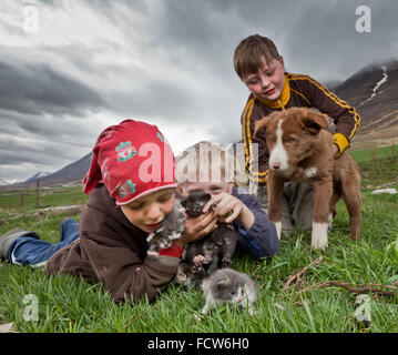 Jungen mit Kätzchen und Welpen, Audbrekka Hof, Horgardalur Valley, Island Stockfoto