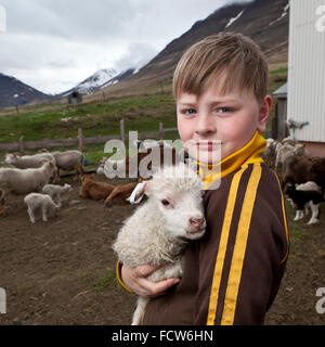 Junge mit Neugeborenen Lämmern, Audbrekka Hof, Horgardalur Valley, Island Stockfoto