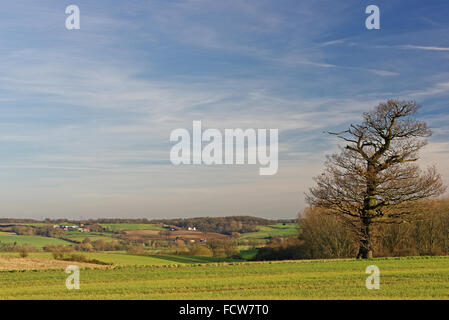 Blick über den Fluss Stour Valley in Suffolk, UK. Einem Gebiet, bekannt geworden durch Künstler John Constable. Stockfoto