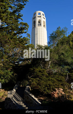 Coit Tower auf dem Telegraph Hill in San Francisco, Kalifornien, USA Stockfoto