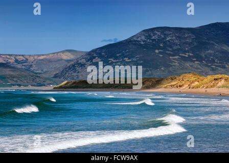 Ross Behy, Dingle Bay, Ring of Kerry, Kerry Stockfoto