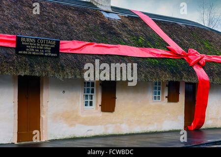 Alloway, Ayrshire, Großbritannien. 25. Januar 2016. Um die 257. Geburtstag von ROBERT BURNS, der weltweit berühmten 18. Jahrhundert Scot Bard, hat seine Hütte in Alloway in Ayrshire so aussehen wie ein Geburtstagsgeschenk eingerichtet. Die Hütte, Alloway Friedhof in der Nähe Museum großen Touristenattraktionen und sind bei Geburtstagsfeiern, Sonderveranstaltungen und "Verbrennungen Abendessen" finden in der Hütte statt. Bildnachweis: Findlay/Alamy Live-Nachrichten Stockfoto