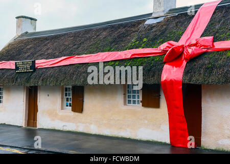 Alloway, Ayrshire, Großbritannien. 25. Januar 2016. Um die 257. Geburtstag von ROBERT BURNS, der weltweit berühmten 18. Jahrhundert Scot Bard, hat seine Hütte in Alloway in Ayrshire so aussehen wie ein Geburtstagsgeschenk eingerichtet. Die Hütte, Alloway Friedhof in der Nähe Museum großen Touristenattraktionen und sind bei Geburtstagsfeiern, Sonderveranstaltungen und "Verbrennungen Abendessen" finden in der Hütte statt. Bildnachweis: Findlay/Alamy Live-Nachrichten Stockfoto