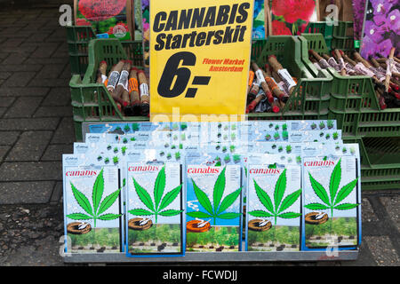 Päckchen / Pakete / Zinn / Zinn / Dosen der Cannabis-Pflanze / Pflanzen Saatgut / Samen für Verkauf Blumenmarkt Amsterdam Holland Niederlande Stockfoto