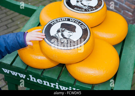 Anzeige der Gouda-Käse auf einer traditionellen hölzernen Karren vor einem Geschäft – Henri Willig - in Amsterdam, Holland. Den Niederlanden. Stockfoto