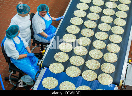 Wittenburg, Deutschland. 8. Dezember 2015. Mitarbeiter überprüfen die Beläge von gefrorenen Pizzas in einer Produktionslinie im Pizza Werk des Lebensmittelherstellers Dr. Oetker in Wittenburg, Deutschland, 8. Dezember 2015. Laut eigenen Angaben ist das Unternehmen mit seinen 900 Mitarbeitern einer der größten Arbeitgeber in der deutschen Bundesland Mecklenburg-Vorpommern. Foto: JENS Büttner/Dpa/Alamy Live News Stockfoto