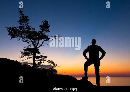 Silhouette von einem Baum und ein Wanderer auf der Küste von Acadia National Park, Mount Desert Island, Maine, New England, USA. Stockfoto