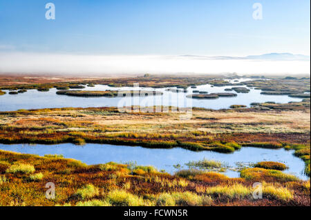 Die Feuchtgebiete des Malheur National Wildlife Refuge von Buena Vista übersehen. Stockfoto