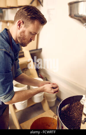 Professional mit einer Handvoll frisch gerösteten Kaffeebohnen Stockfoto