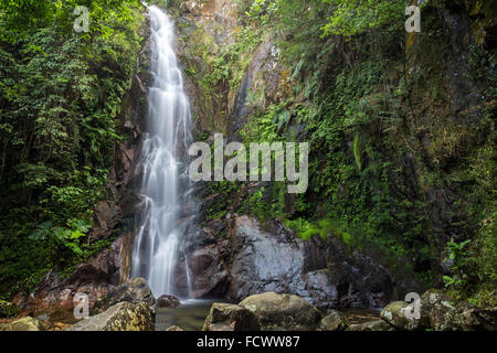 Mittleren Herbst der Ng Tung Chai Wasserfälle in die New Territories in Hongkong, China. Stockfoto