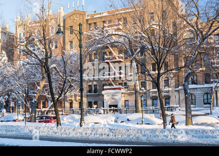 Autos im Schnee vor der Eastern Parkway Mehrfamilienhäuser in Crown Heights begraben, nachdem Blizzard 2016, Brooklyn, NY Stockfoto