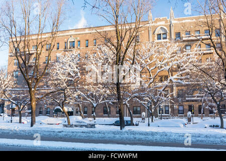 Autos im Schnee vor der Eastern Parkway Mehrfamilienhäuser in Crown Heights begraben, nachdem Blizzard 2016, Brooklyn, NY Stockfoto