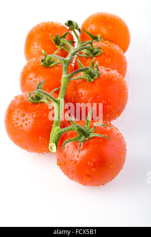 strauchtomaten auf weißem Hintergrund Stockfoto