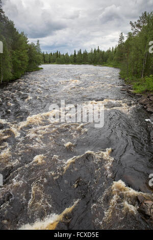 Stromschnellen im Fluss Raudanjok im Bereich Polarkreis Wandern in der Nähe von Rovaniemi, Finnland Stockfoto