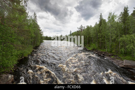 Stromschnellen im Fluss Raudanjok im Bereich Polarkreis Wandern in der Nähe von Rovaniemi, Finnland Stockfoto