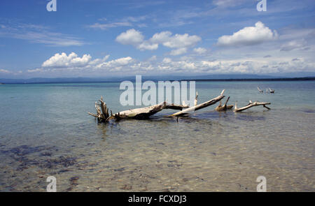 Impressionen vom sonnigen und grünen Costa Rica Stockfoto