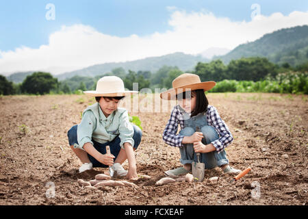 Zwei Kinder in einem Strohhalm Hut sitzt auf dem Feld und süße Kartoffeln ernten Stockfoto