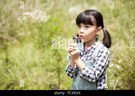 Mädchen bläst Löwenzahnsamen im Feld Stockfoto