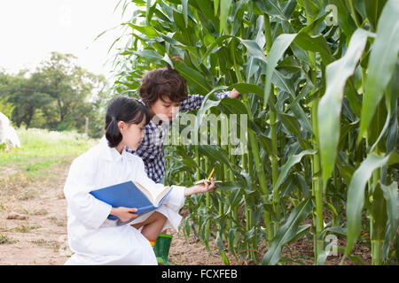 Mädchen im weißen Kleid auf dem Boden im Maisfeld sitzen und beobachten mit einem Buch und ein Junge im casual-Look zu beobachten Stockfoto
