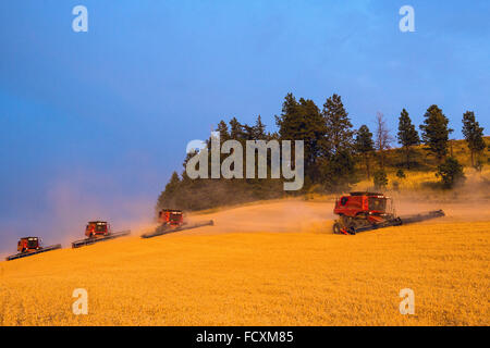 Gehäuse vereint Ernte Weizen in der Palouse Region Eastern Washington Stockfoto