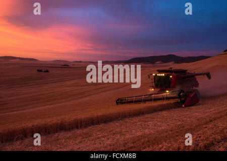Gehäuse vereint Ernte Weizen in der Palouse Region Eastern Washington Stockfoto