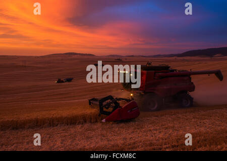 Gehäuse vereint Ernte Weizen in der Palouse Region Eastern Washington Stockfoto